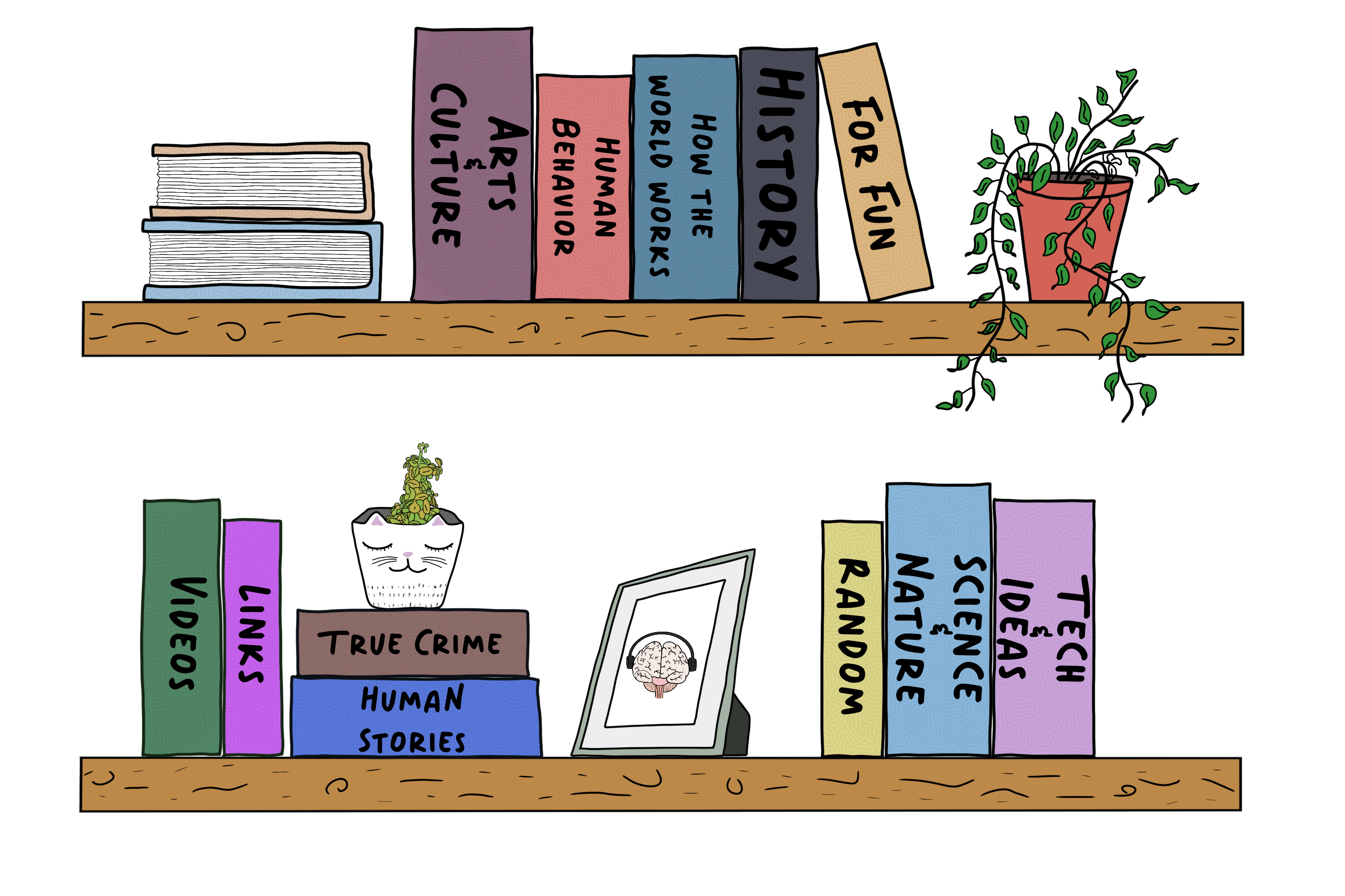 Hurt Your Brain bookshelf